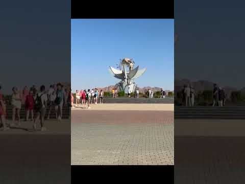 Negotiators in Egypt for Gaza talks as Trump urges quick action