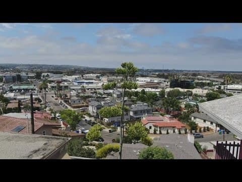 An old plant is making new roots