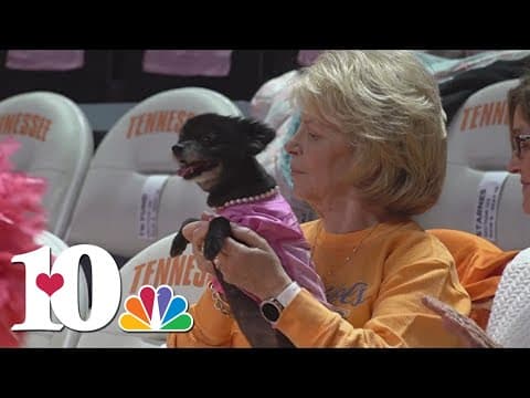 Lady Vol superfan Linda Ogle sits courtside with her service dog, Annie