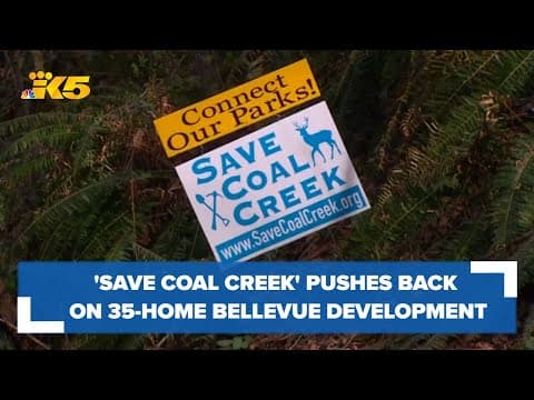 'Save Coal Creek' pushes back on 35-home Bellevue development