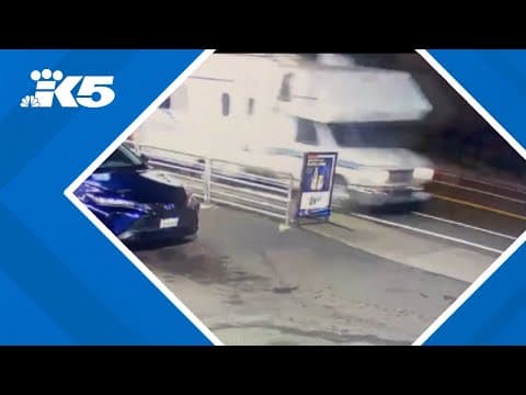 Driver in deadly Skyway hit-and-run arrested