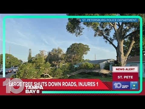 Tree branches hit houses, fall on woman in St. Pete