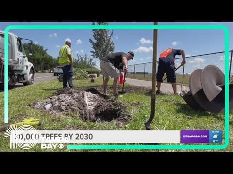 Tampa launches effort to plant 30,000 trees by 2030