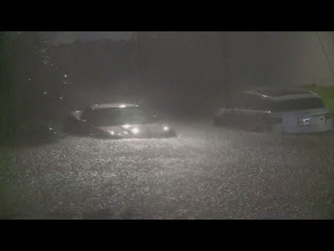 Watch: Cars flooded as Hurricane Francine pelts New Orleans