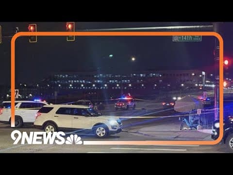 2 pedestrians killed in Denver crash