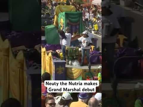 Pet Nutria serves as Grand Marshal for Mardi Gras parade #parade #mardigras