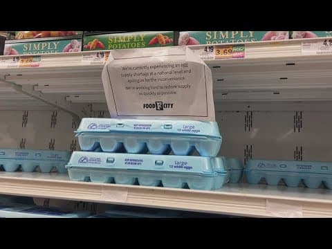 East Tennessee farmers react to avian flu and its impact on the food industry