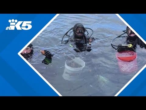 Public invited to 'pier clear' Des Moines Marina ahead of docks demolitions