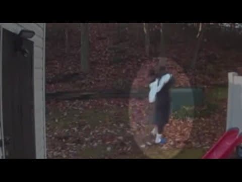 French bulldog stolen from Fairfax County home