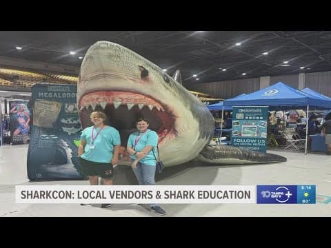 Local businesses aim to raise shark conservation awareness at Sharkcon
