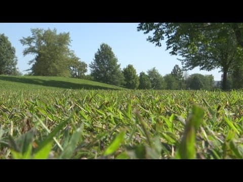 Kids playing in Greenwood field find human bones over 30 years ago. Body now finally identified
