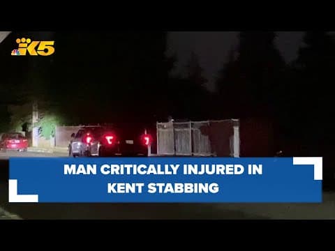 Man wakes up Des Moines family for help after stabbing