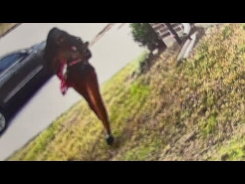 Photo released of woman wanted in connection with deadly hit-and-run in north Harris County