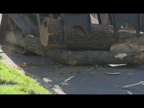 Neighbors concerned about possible scams as contractors approach tornado victims in Gaithersburg