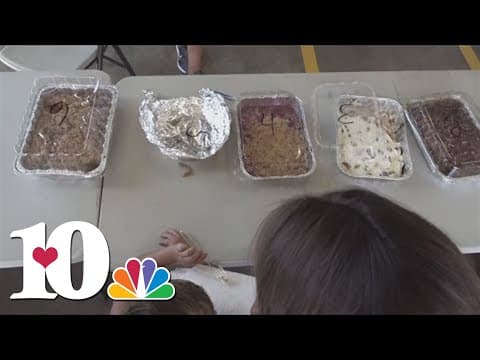 Annual Hooray for Harriman kicks off with a Cobbler Contest