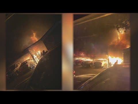 1 person, 3 dogs dead after woman intentionally sets fire at Dallas mobile home park, officials say