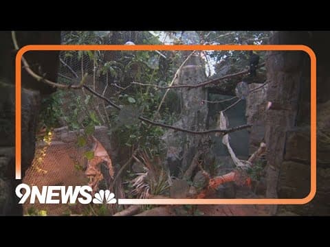 Denver Zoo Conservation Alliance finishes Tropical Discovery renovation