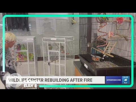 After tragic fire, Madeira Beach wildlife center opens temporary location while rebuild continues