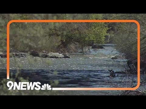 Golden to limit innertube sales this summer