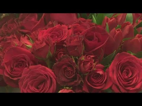 Flower industry dealing with shipping issues ahead of Valentine's Day