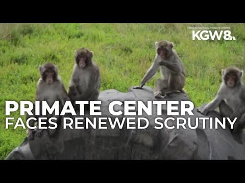 OHSU primate research center faces renewed scrutiny with Oregon animal testing bill