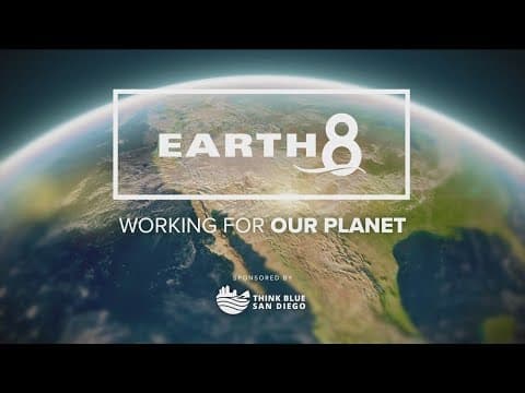 Working For Our Planet | Reuse your Easter decorations