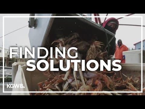 New OSU research is fixated on commercial crabbing injuries and solutions