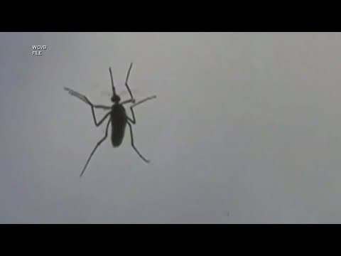 New Hampshire resident dies from EEE, a mosquito-borne virus