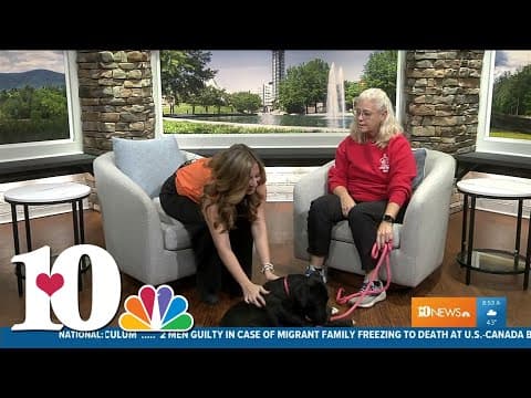 Pet of the Week: Tacuna