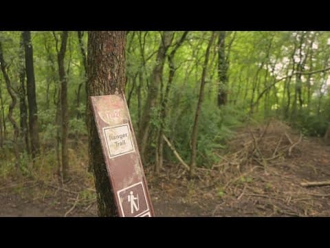 Garland residents furious over city's 'mistake' clearing local forest preserve