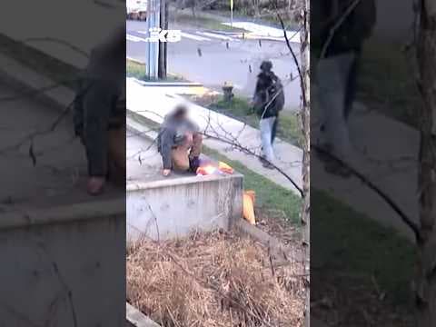 Man allegedly burns Pride flag at Seattle school