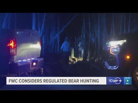 Florida wildlife officials to consider regulated bear hunting after deadly attack and additional sig