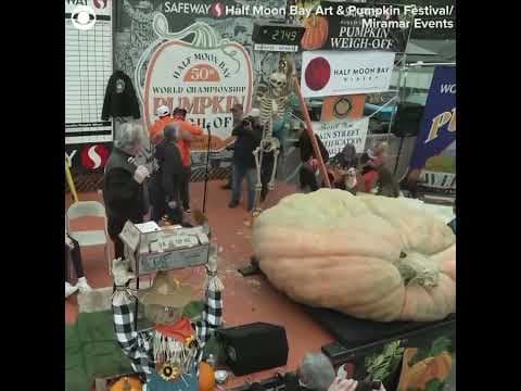 Massive pumpkin sets new world record during weigh-off in California #shorts