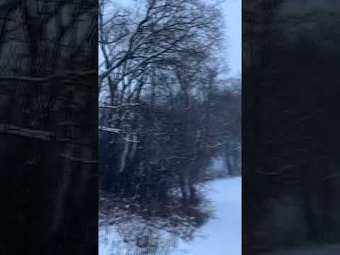 While snow has been slow for the Twin Cities, SE MN has seen plenty in the last couple of days!