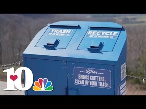 TDOT, TWRA work together to protect bears in Tennessee this summer