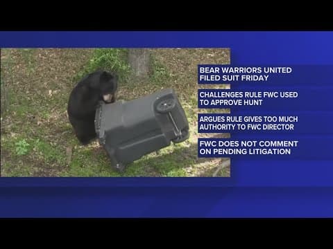Florida conservation nonprofit sues FWC over newly-approved black bear hunt