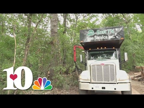 Knox County crews pick up green waste after strong storms