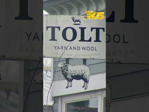 Carnation residents frustrated by another false alarm from Tolt River Dam emergency system