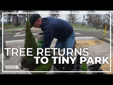 Tree from Portland park, world's smallest, returns