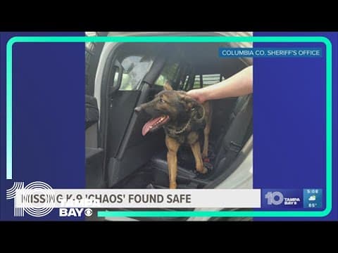 Florida K-9 found 24 hours after going missing while following suspect into the woods