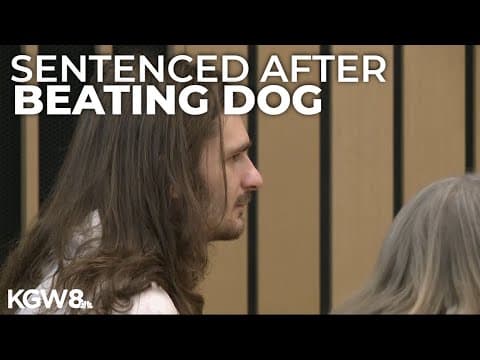 Portland man caught on camera for beating dog in apartment complex elevator sentenced