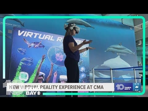 Ride a jellyfish with CMA's new virtual reality experience