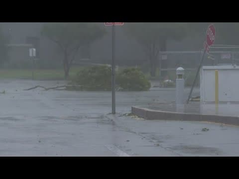 Watch: Hurricane Francine breaks, drags away huge tree limb during WWL Louisiana live shot in Houma
