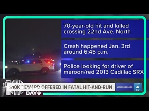 $10K reward offered for information in deadly St. Pete hit-and-run