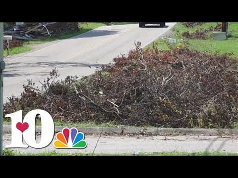 Knox County to offer green waste removal for county homeowners