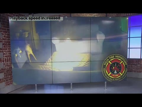 Home surveillance video shows dog chewing on power bank with lithium battery inside