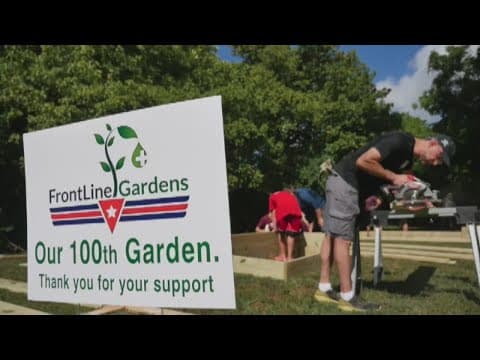 Charity builds backyard gardens for veterans