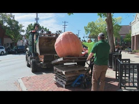Grove City kicks off fall celebration with a giant pumpkin carving