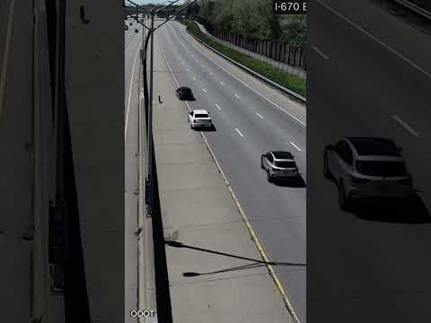 German shepherd runs loose on I-670 in Columbus #shorts