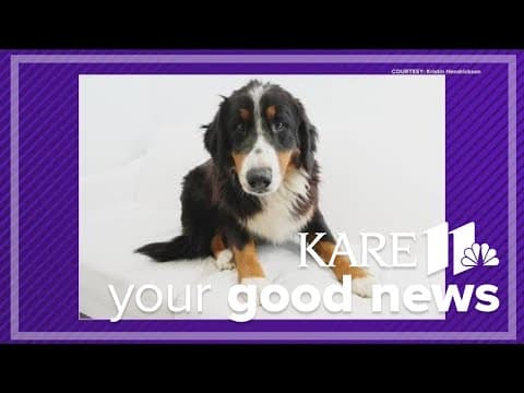 Your Good News: Foster pups & donations